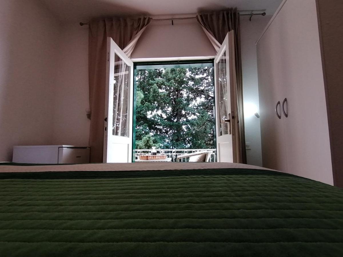 Apartment Borovi With Terrace And Parking 波达卡 外观 照片
